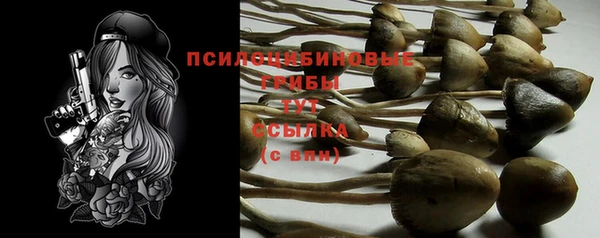марки nbome Алзамай
