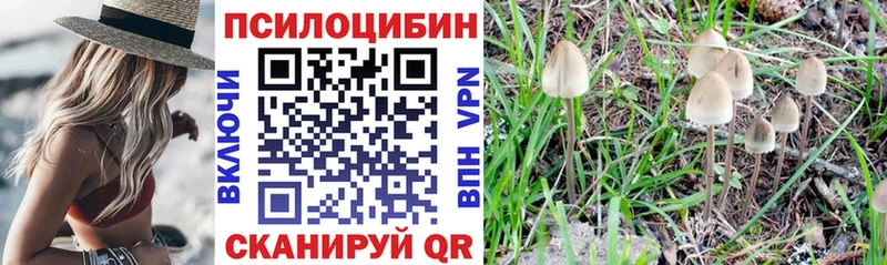 Галлюциногенные грибы мицелий  Байкальск 